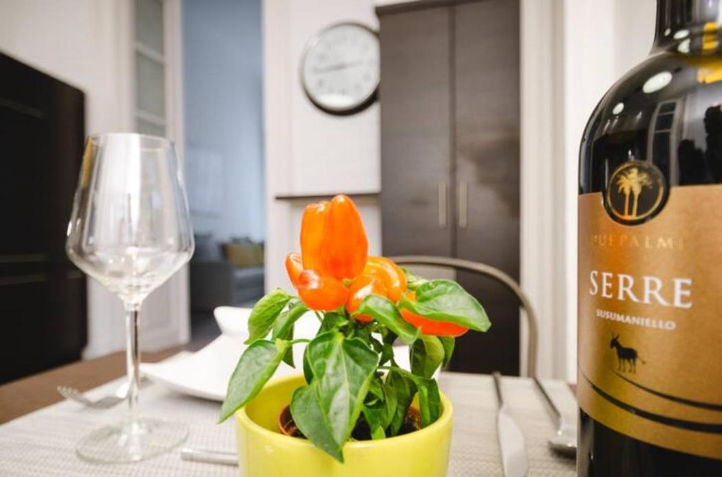 Opera Experience Apartament Budapeszt